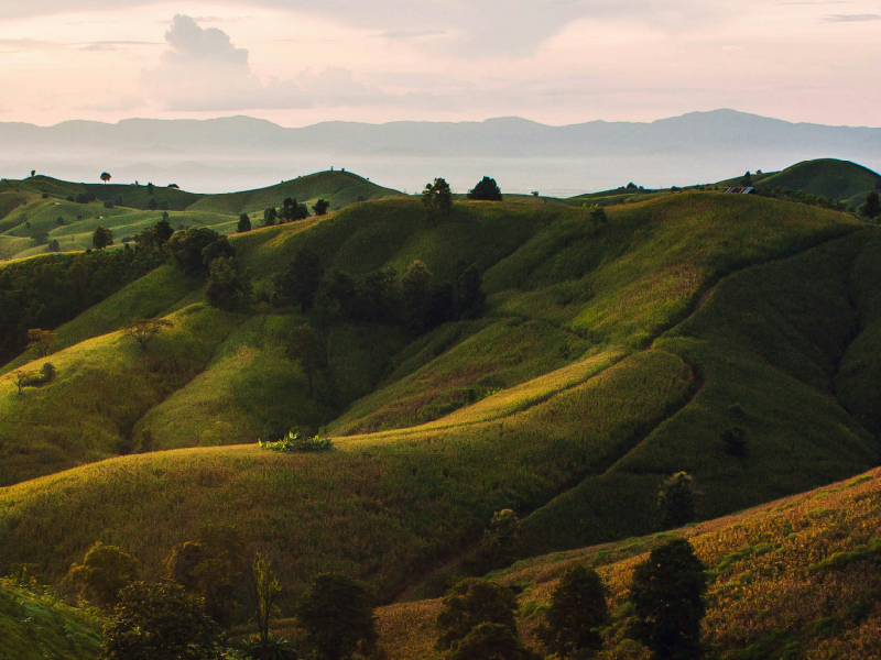 共同合作新產品開發暨創新